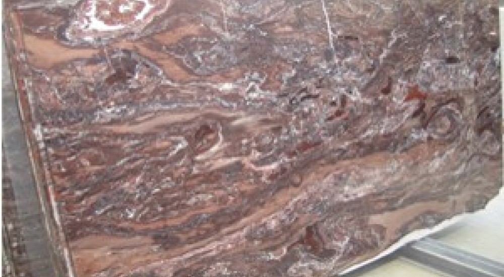 Sequoia