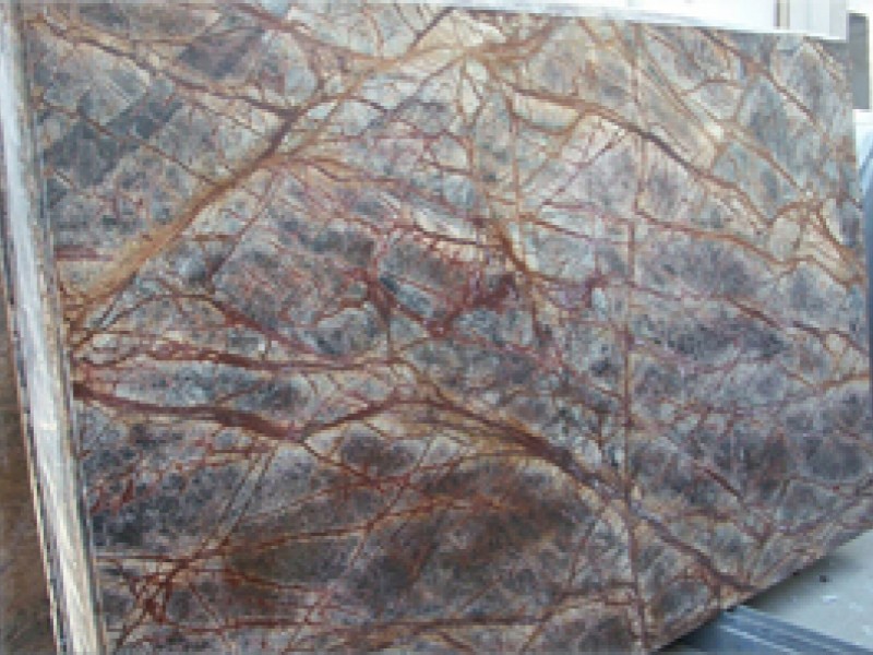 RAIN FOREST BROWN