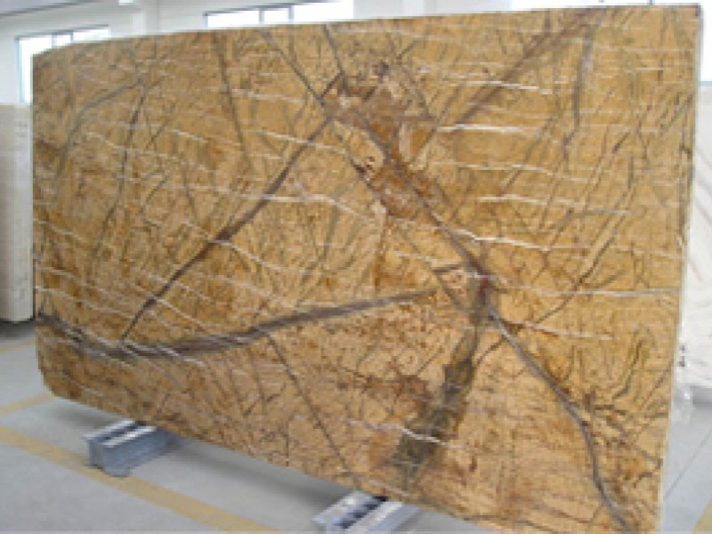 RAIN FOREST GOLD