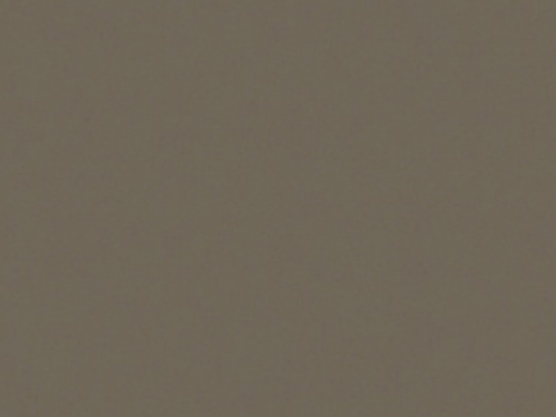 UNSUI